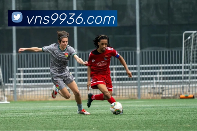 威尼斯人线上娱乐平台生态图